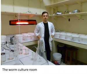 Worm Culture Room