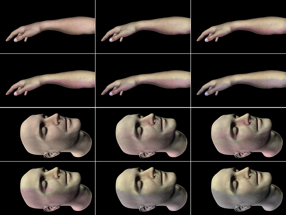 Human Body Decomposition in CGI