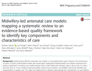 Symon et al 2016 framework