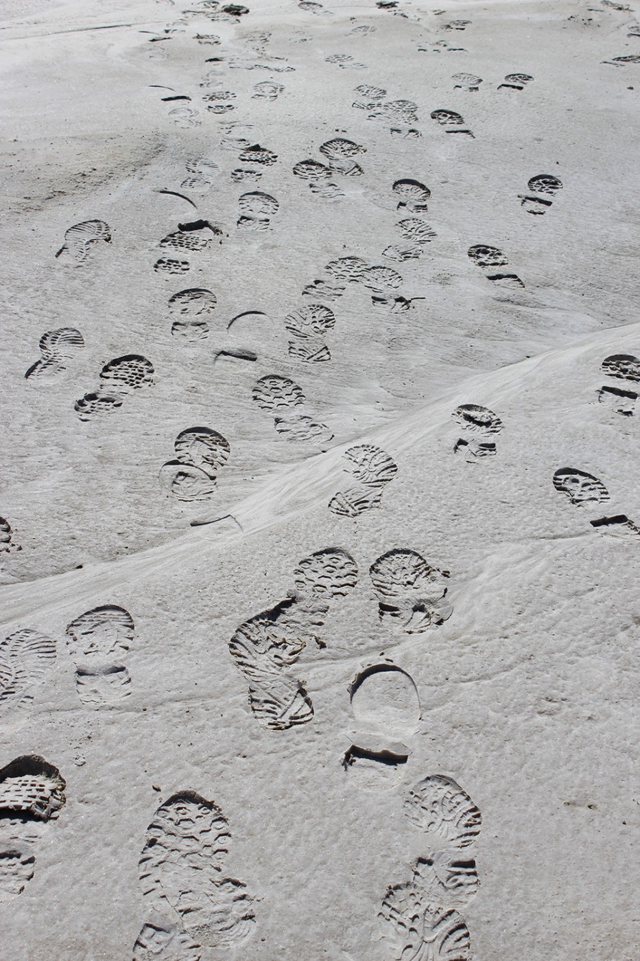 Tracks in the sand: tracking criminals