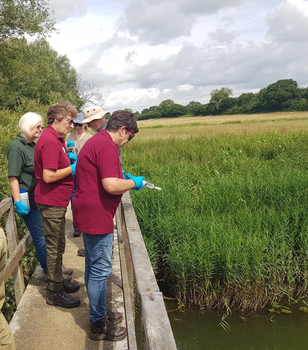 Countryside Restoration Trust Findet Haselnussmäuse Auf Babers Farm