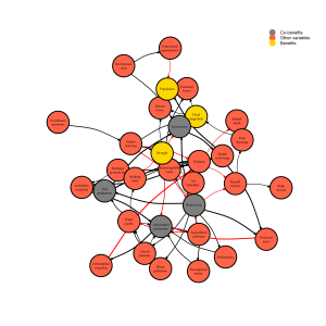 A complex systems network generated by the R BBNet package